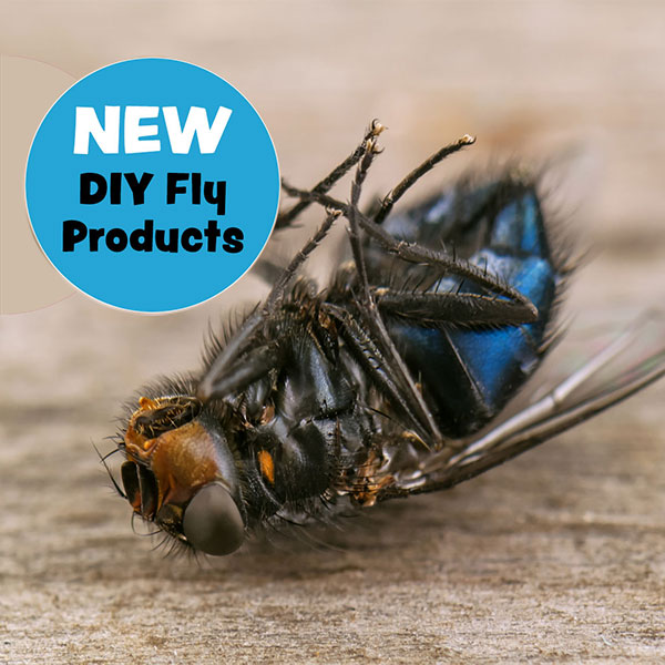 Products Archive - Northpest Pest Control Specialists Whangarei Northland