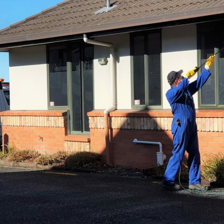 Victor TIN CAT mouse trap - Northpest Pest Control Specialists Whangarei  Northland