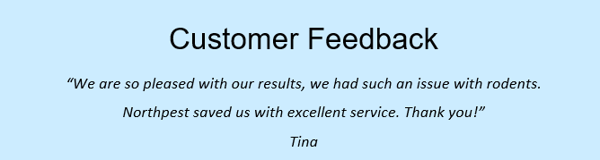 Feedback – Tina