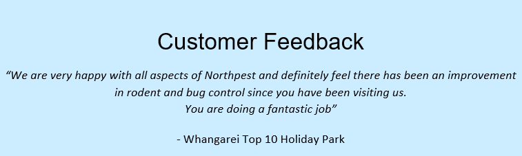 Feedback – Whangarei top 10 holiday park