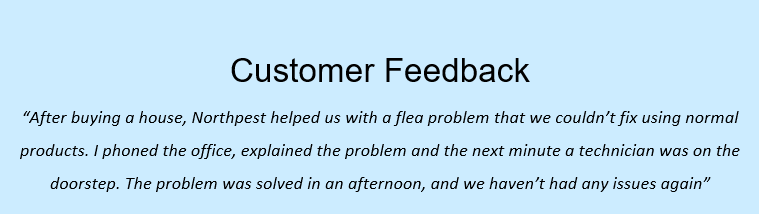 Feedback – buying house