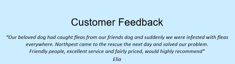 feedback – elia