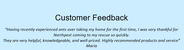 feedback – maria