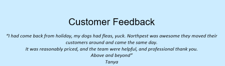 feedback – tanya